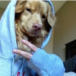 Meet your Posher, Amelia